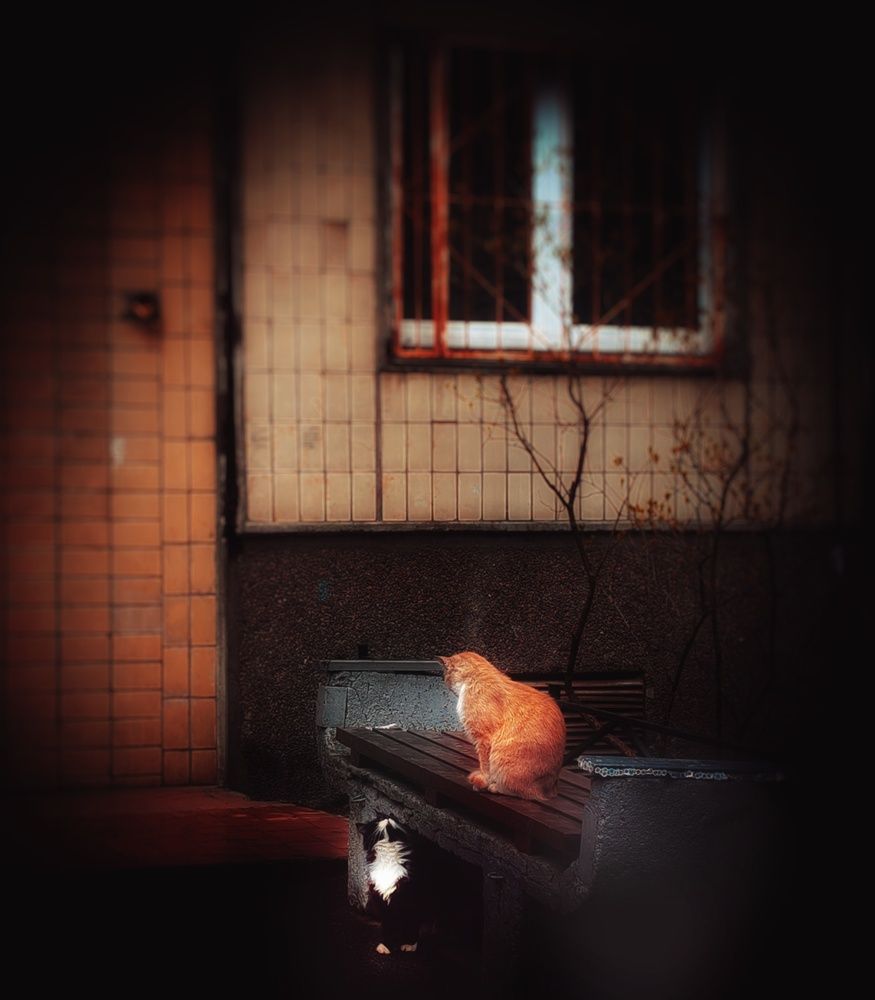 Photograph by Дайана