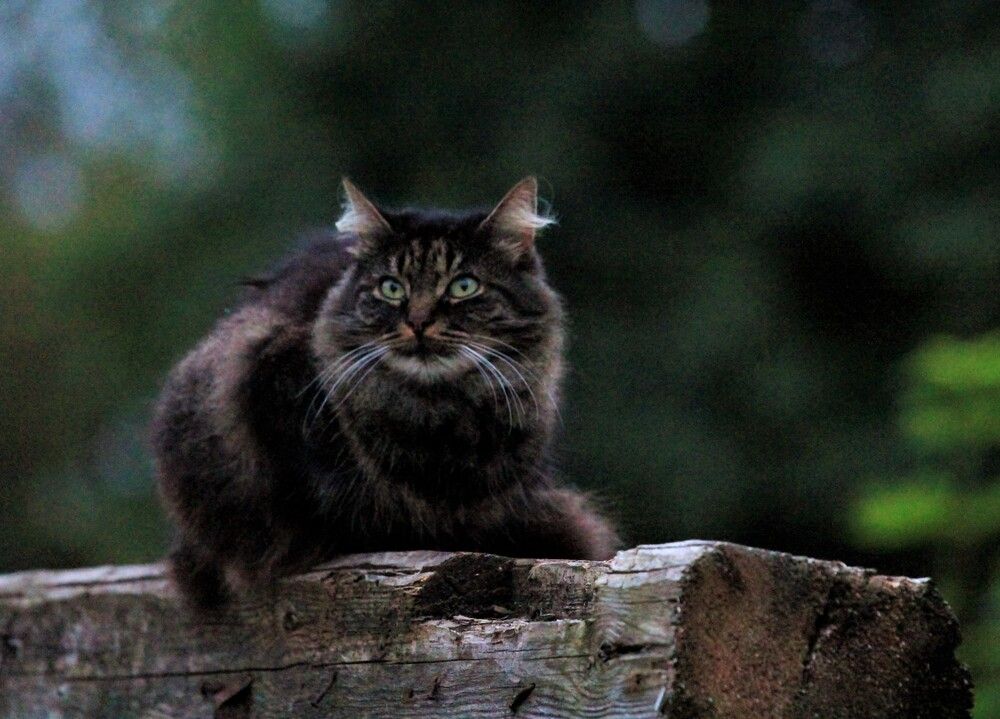 Photograph by Inese Firsova