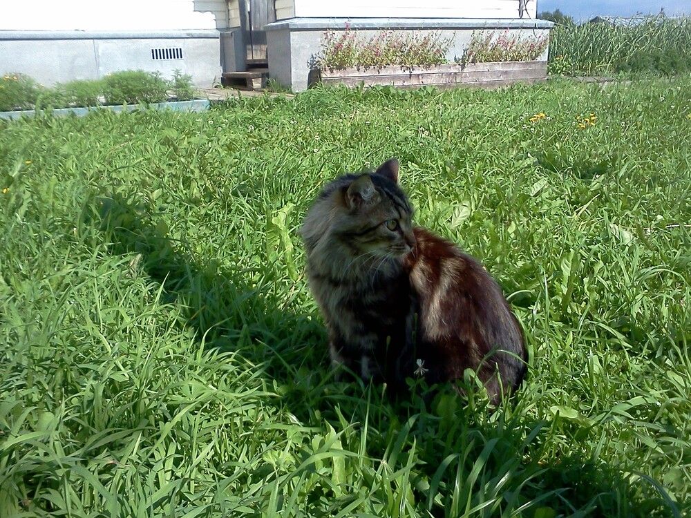 Photograph by карякина мария