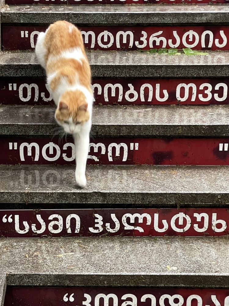 Photograph by Светлана Смук