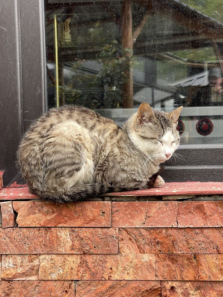 Photograph by Светлана Смук