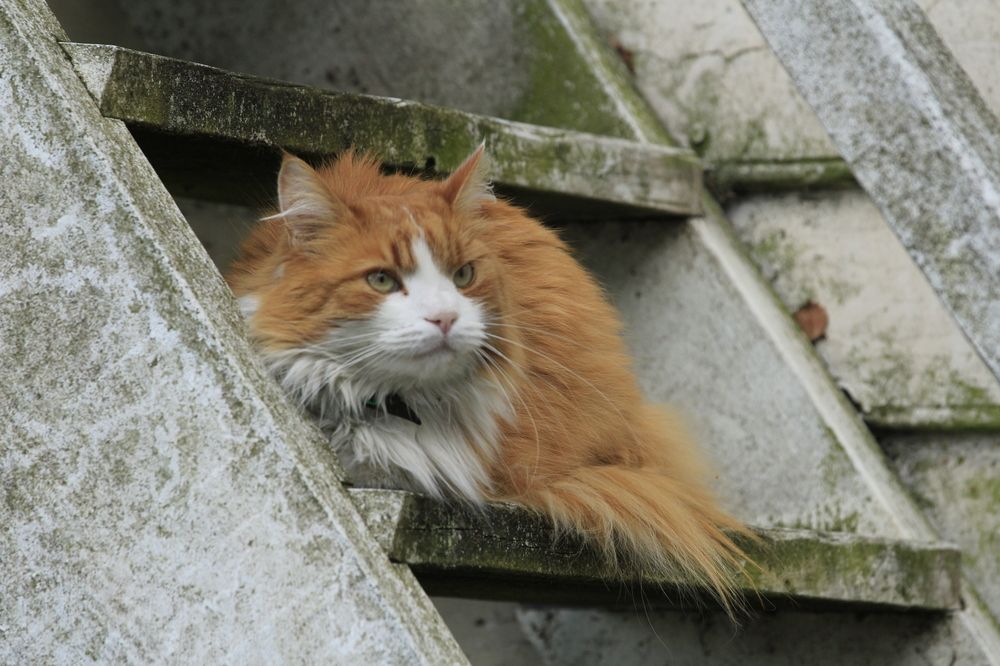 Photograph by Inese Firsova