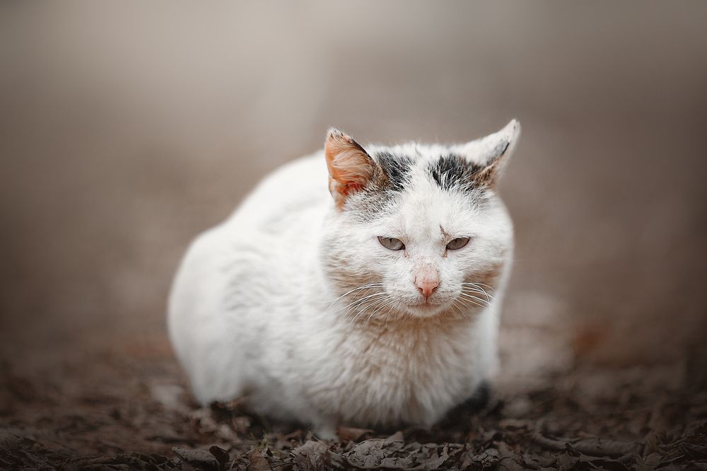 Photograph by Аден Аксинья