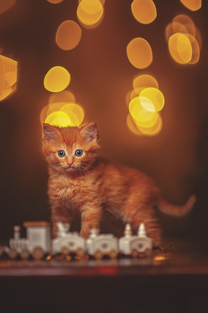 Photograph by Аден Аксинья