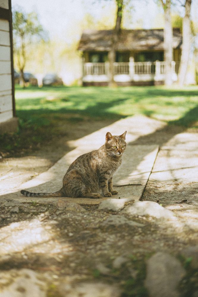 Photograph by Екатерина Мелихова