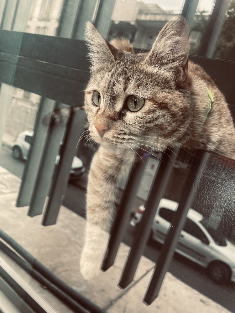 Photograph by hamid Rezaei