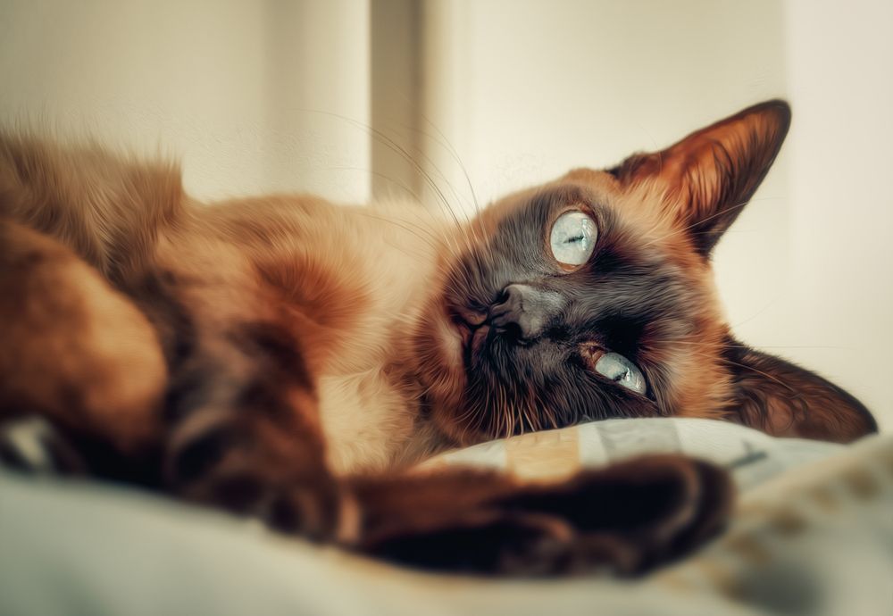 Photograph by Светлана Инькова