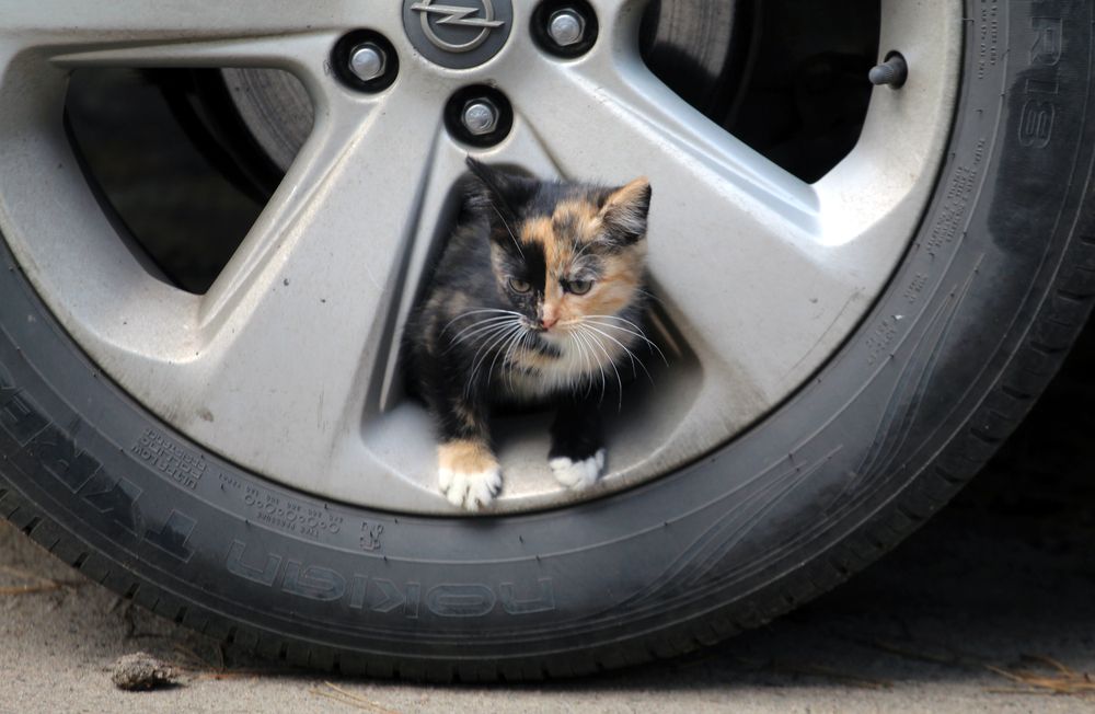 Photograph by Евгения Емельянова