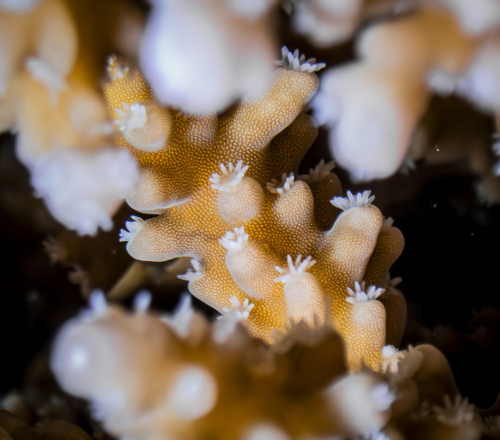 Photograph by Gozde Karayel