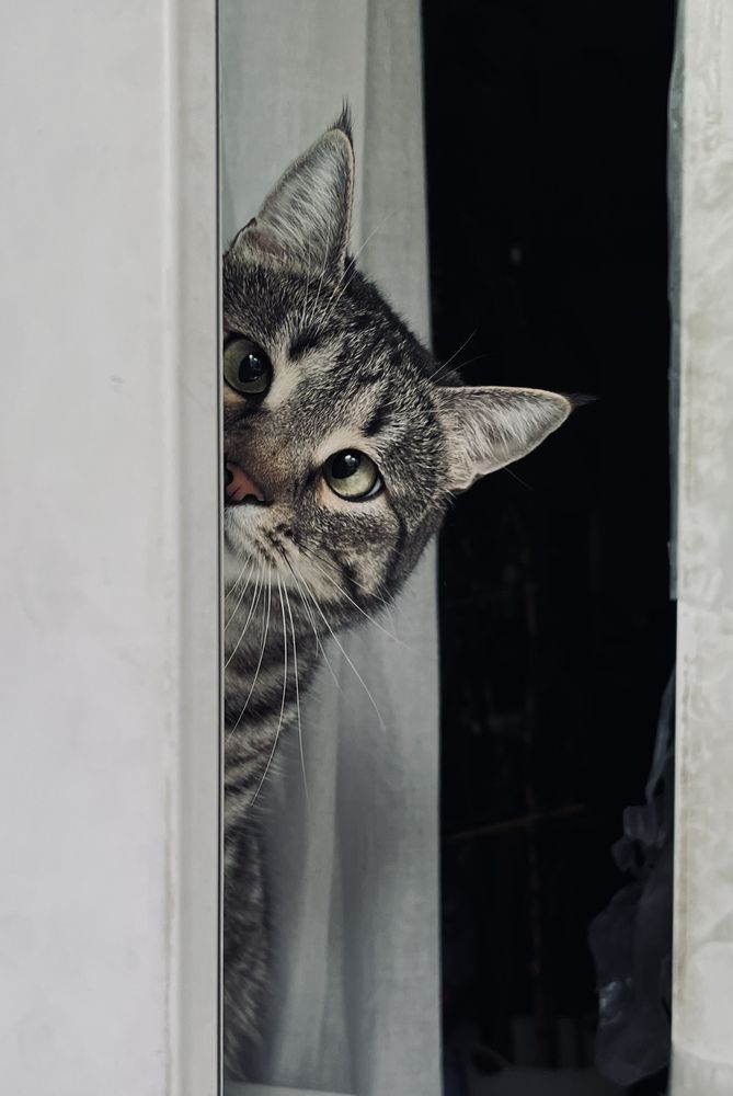 Фотография автора Светлана Тюрина