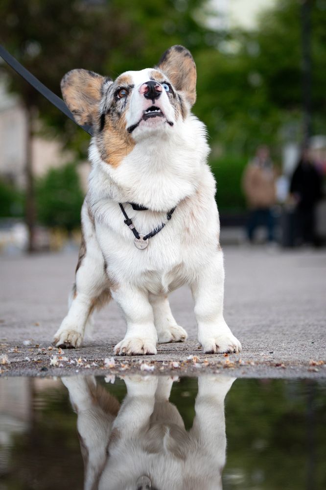 Photograph by Дмитрий Тимин