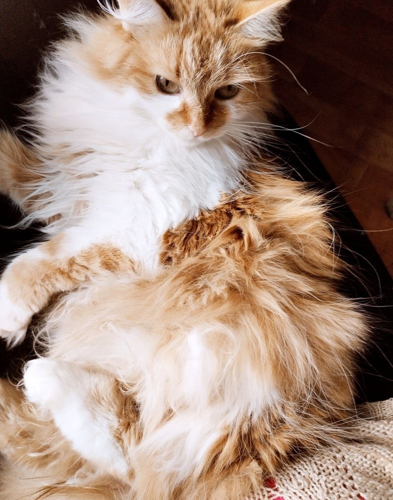 Photograph by Надежда Болтунова