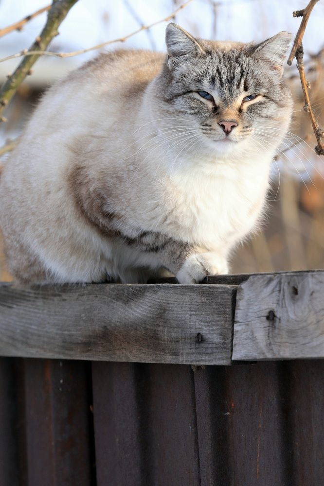 Photograph by Вася Кадочников