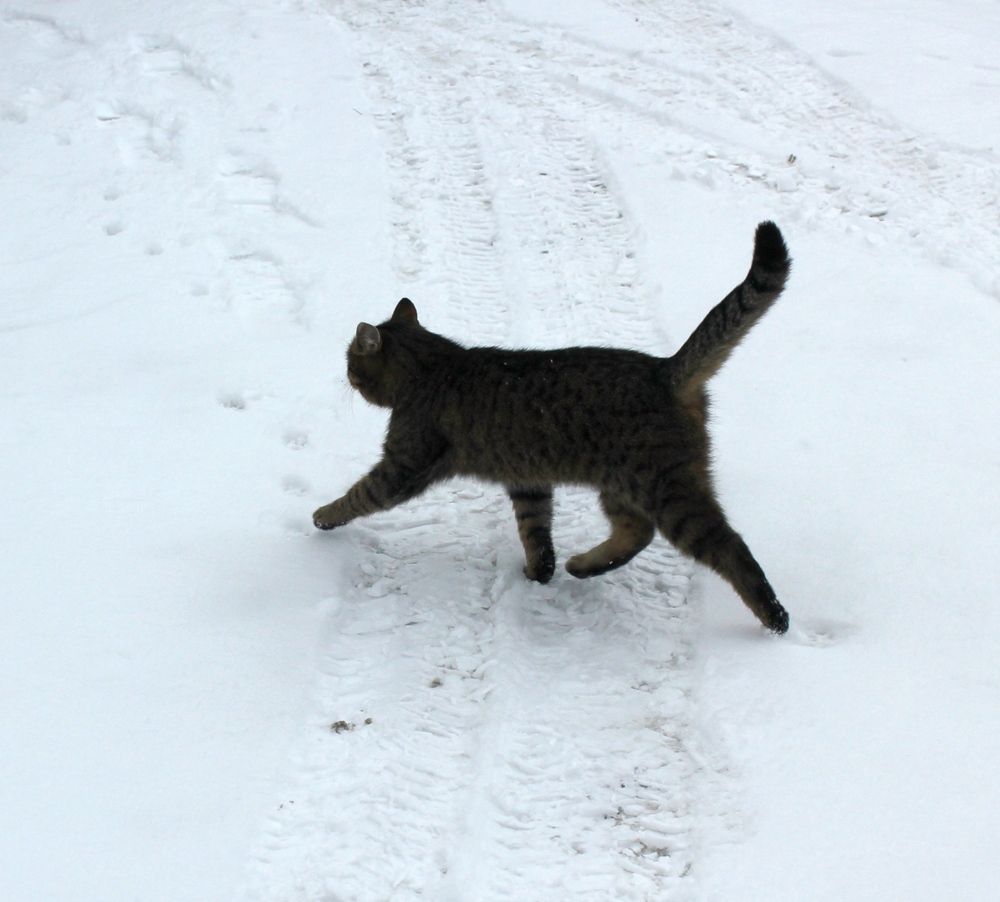 Photograph by Olga Bagaeva