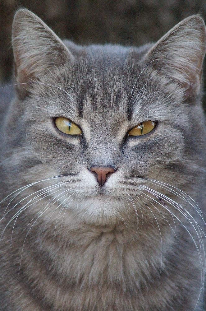 Photograph by Светлана Логинова