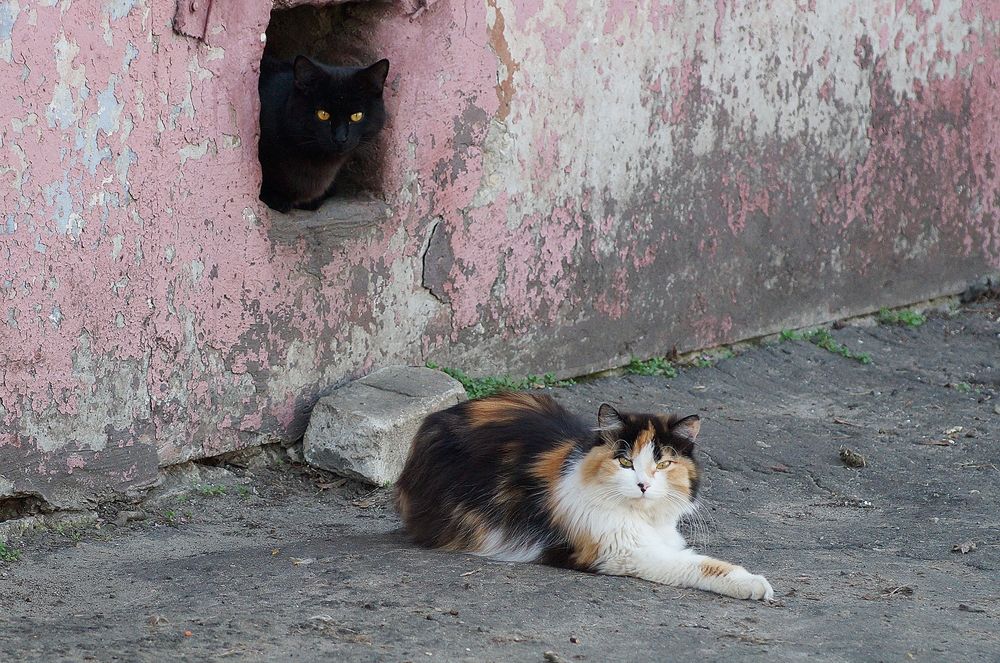 Photograph by Светлана Логинова