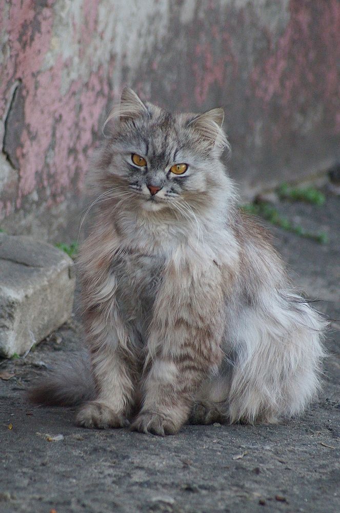 Photograph by Светлана Логинова