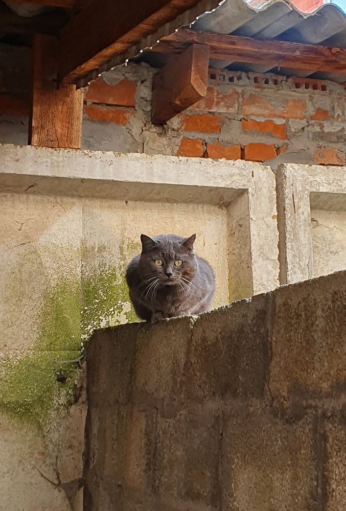 Photograph by Анастасия Трофимовская