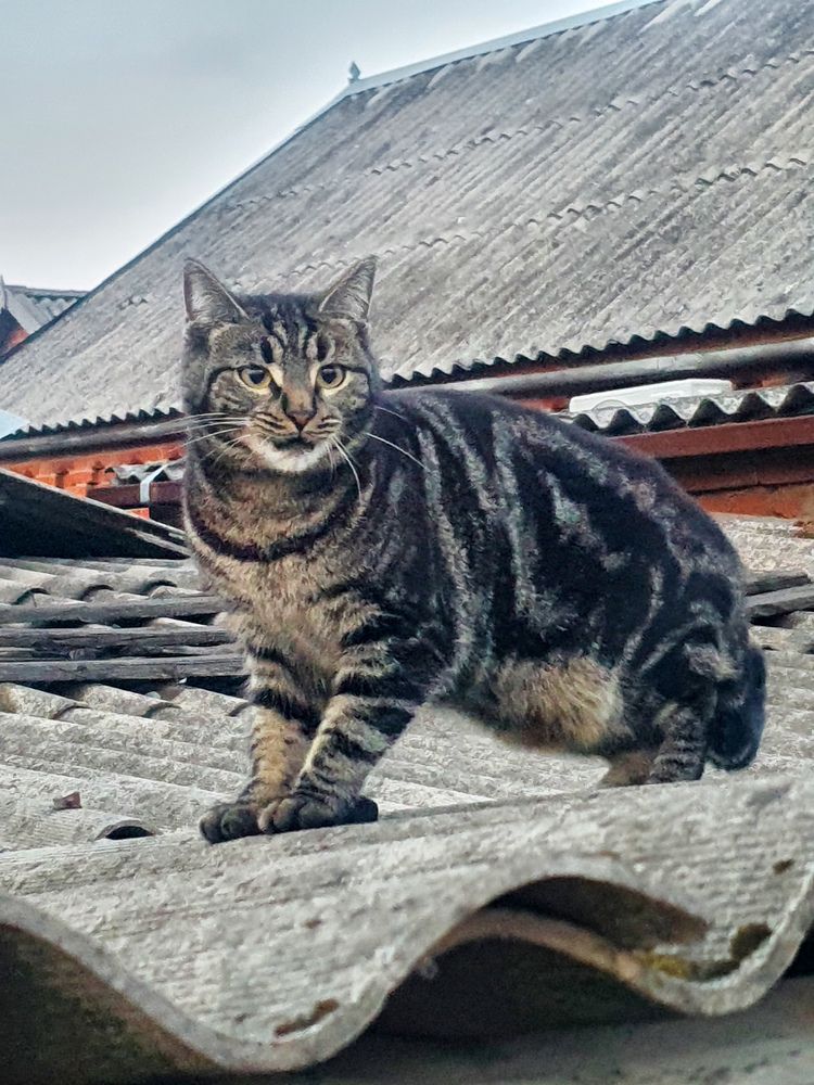 Photograph by Анастасия Трофимовская