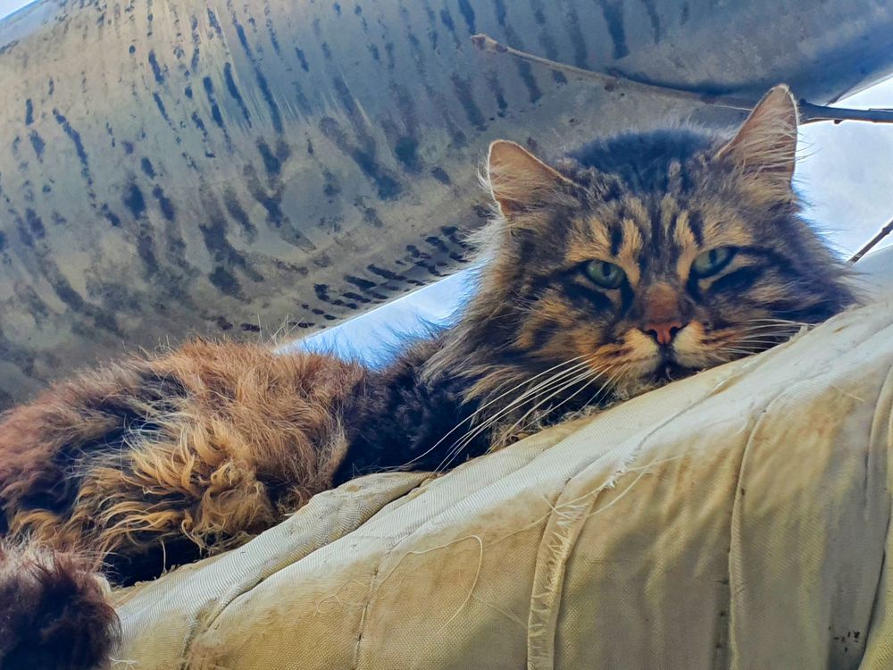 Photograph by Анастасия Трофимовская