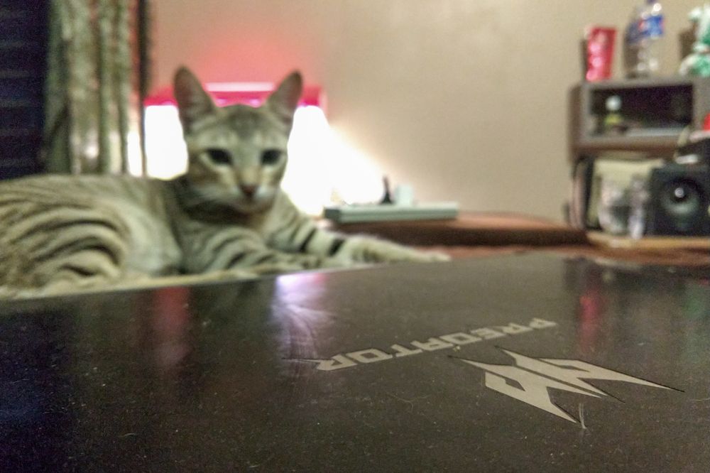 Photograph by Sayan Biswas