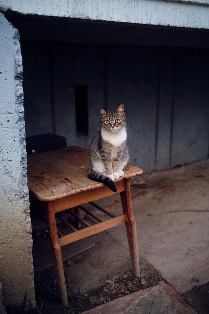 Photograph by Дыбов Дмитрий