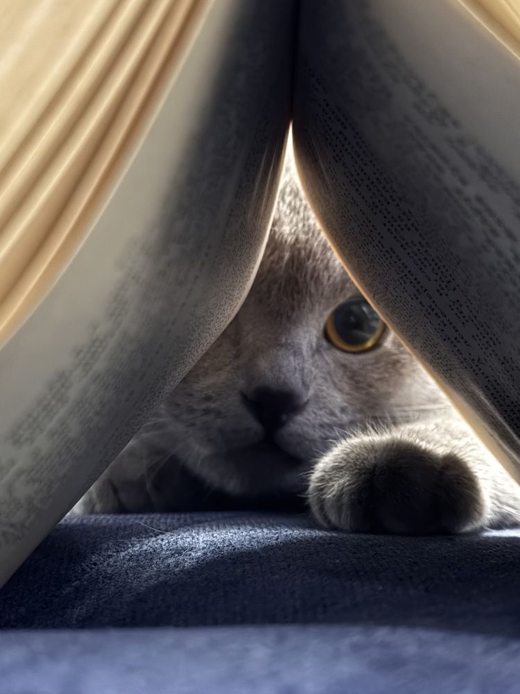 Photograph by Zhanna Kolesnikova