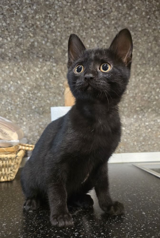 Photograph by Лариса Ким