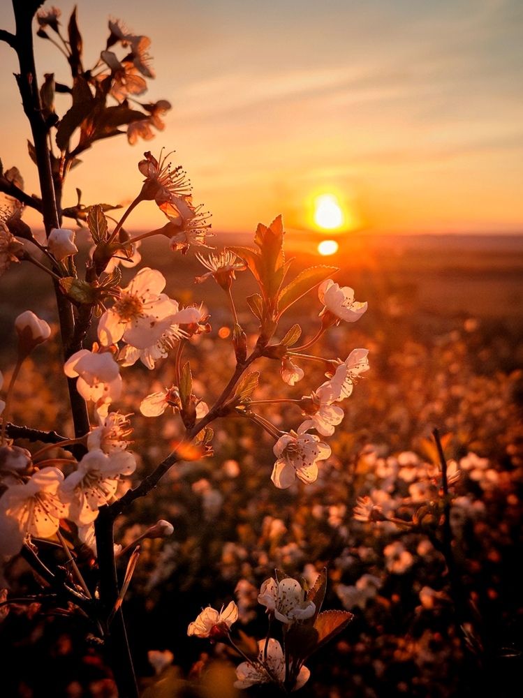 Photograph by Серёга Ануфриев