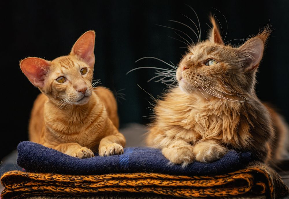 Photograph by Зубкова Юлия