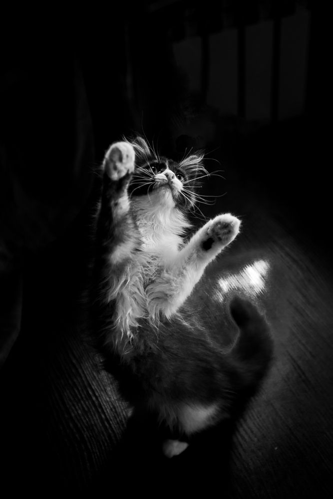 Photograph by Елена Владимировна