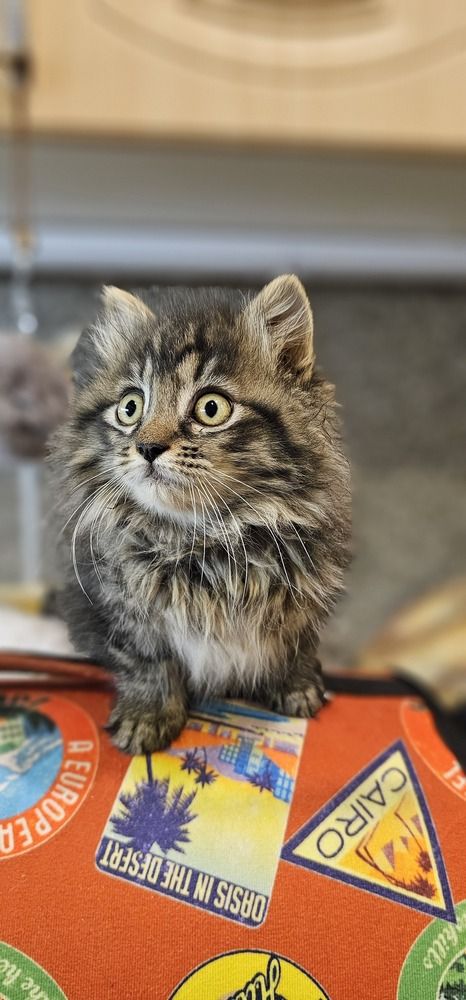 Photograph by Лариса Ким