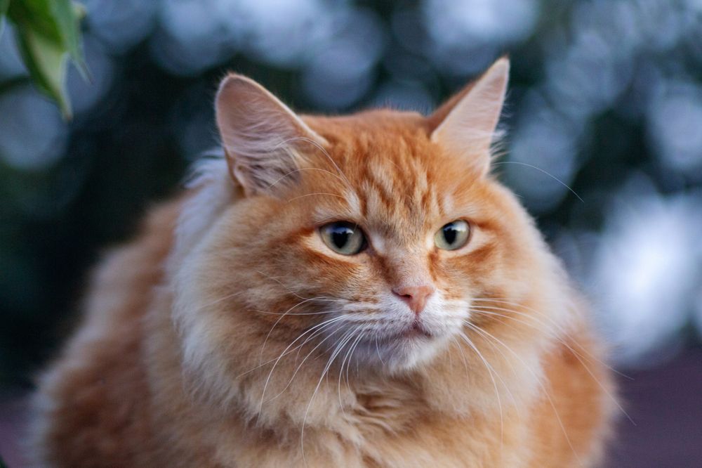 Photograph by Александр Канцур