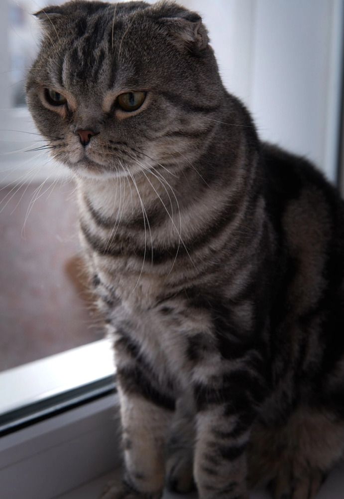 Photograph by Денис Смирнов