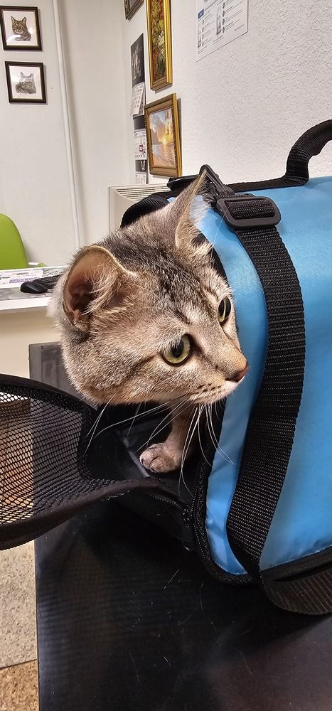 Photograph by Лариса Ким