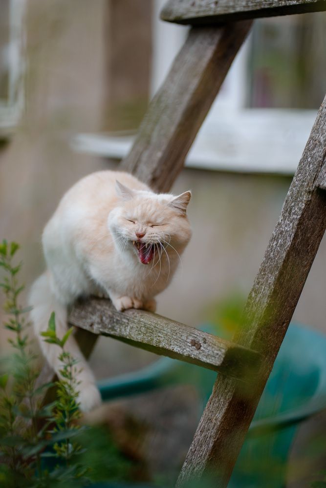 Photograph by Юлия Полянцева