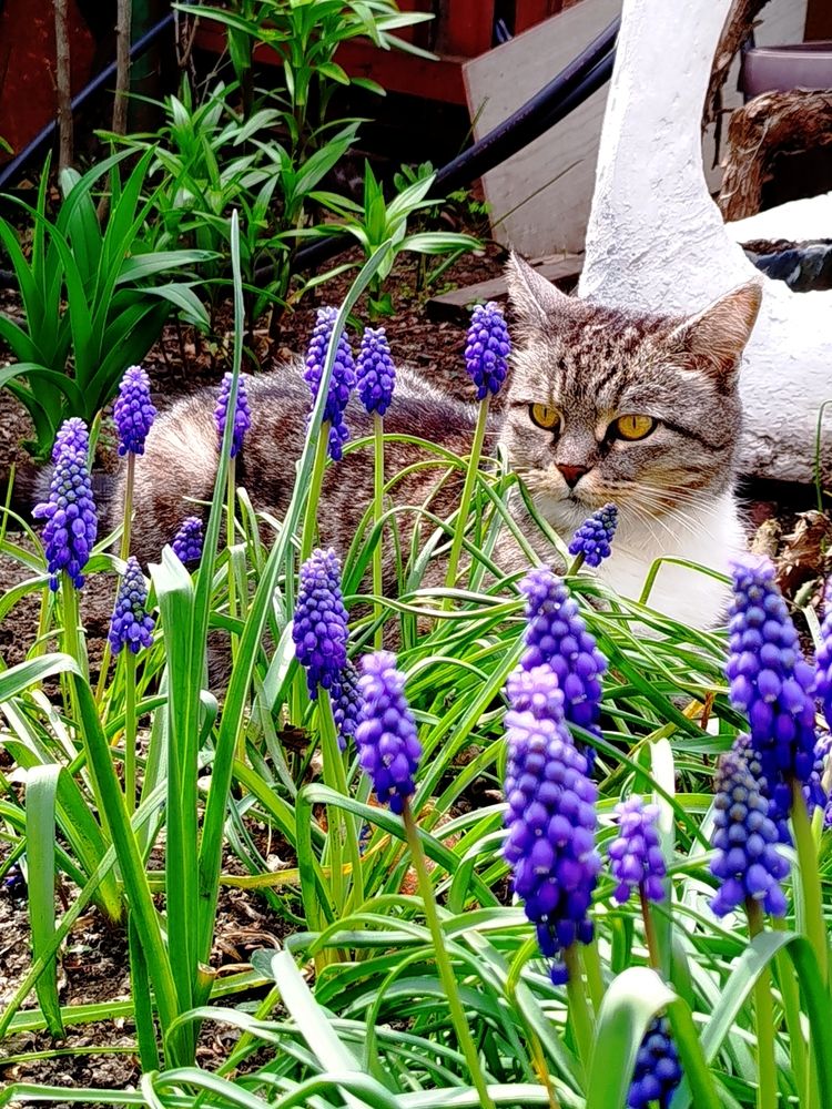 Photograph by Наталья Назаренко