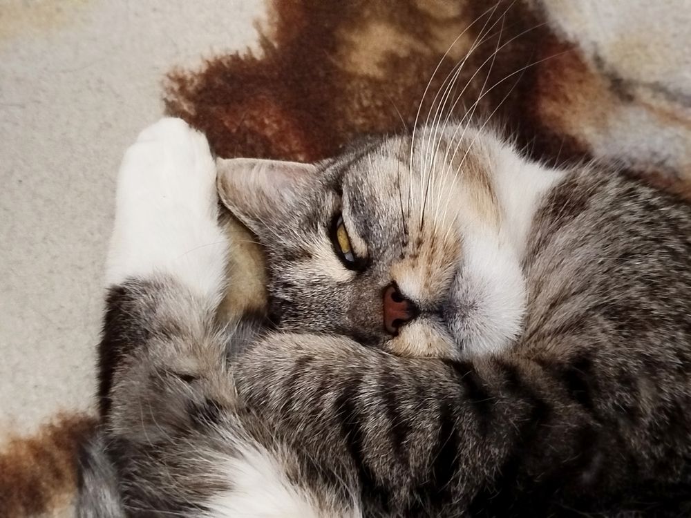 Photograph by Наталья Назаренко