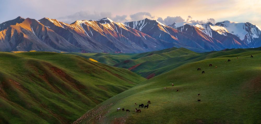 Photograph by Межин Сергей