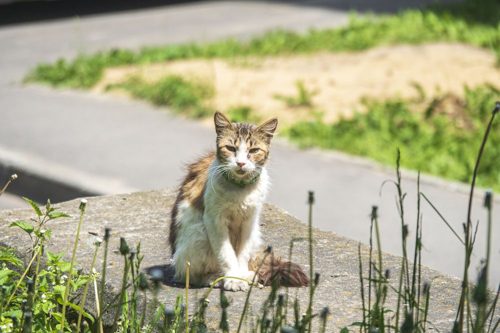 Photograph by Надежда Михайлина