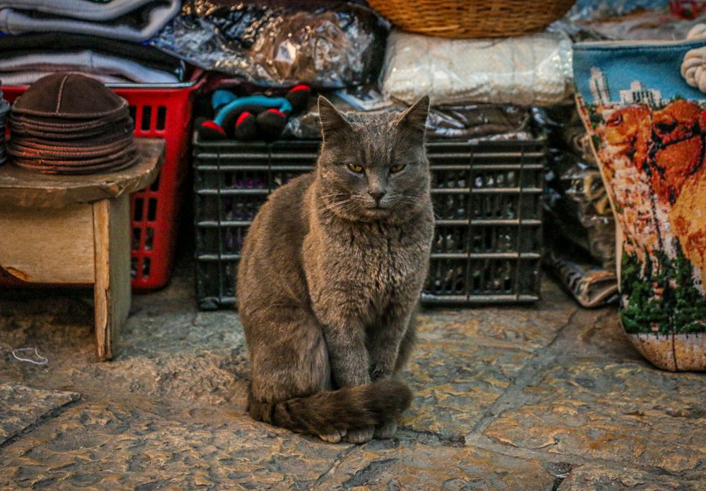 Photograph by Алена Лосева