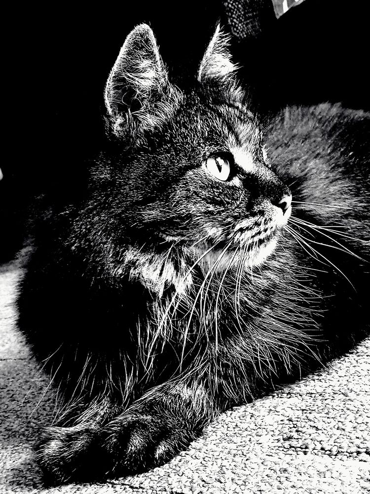 Photograph by Наталья Назаренко