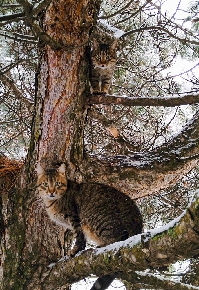 Photograph by Наталья Назаренко