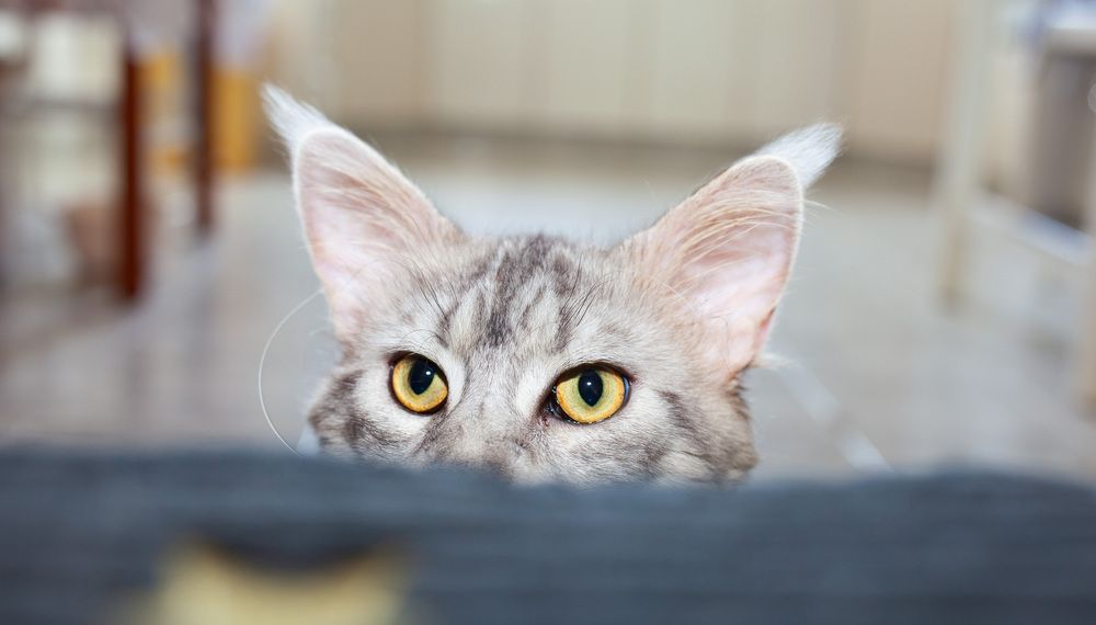 Photograph by Lada Tregubov