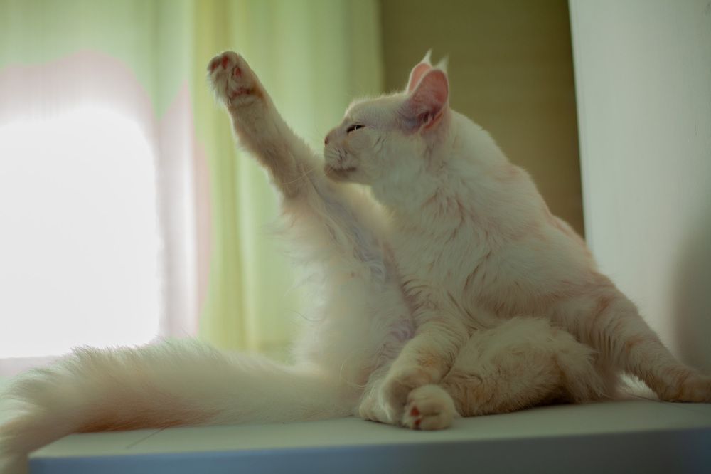 Photograph by Lada Tregubov