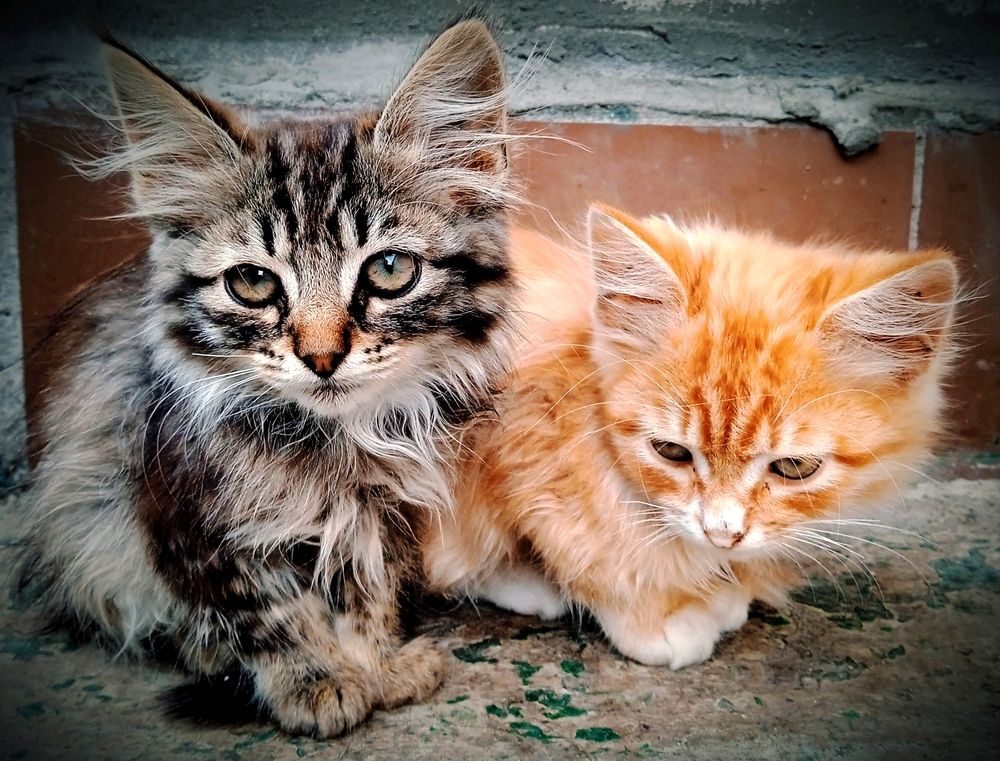 Photograph by Наталья Назаренко