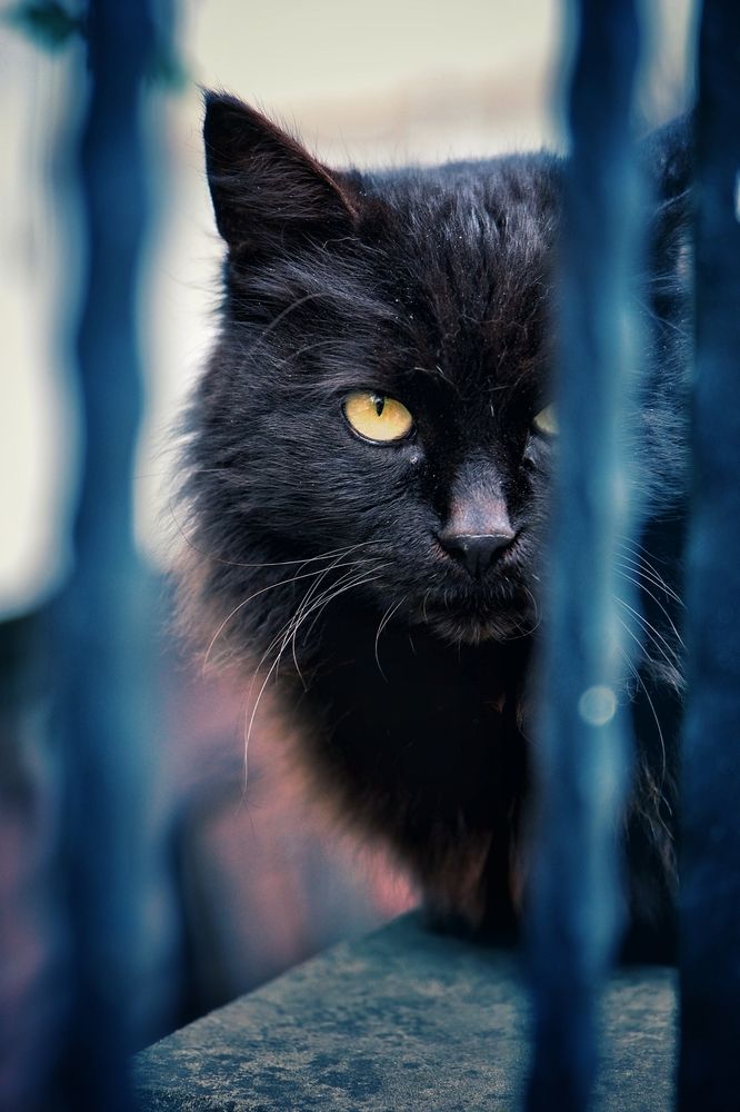 Photograph by Isa Demirhan