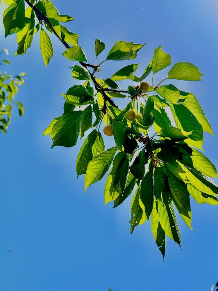 Photograph by Юлия Ханналайнен