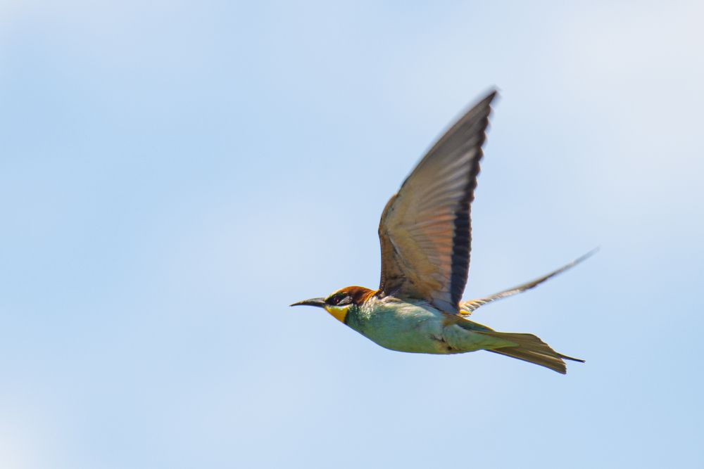 Photograph by Кочергин Егор