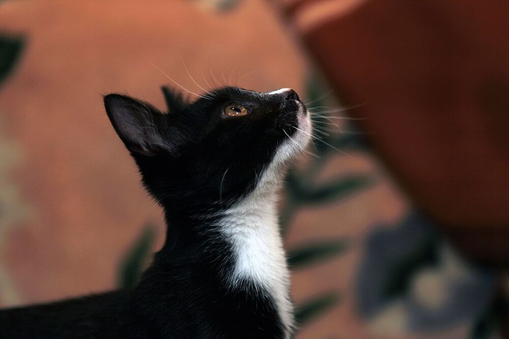 Photograph by Алексей Амилющенко